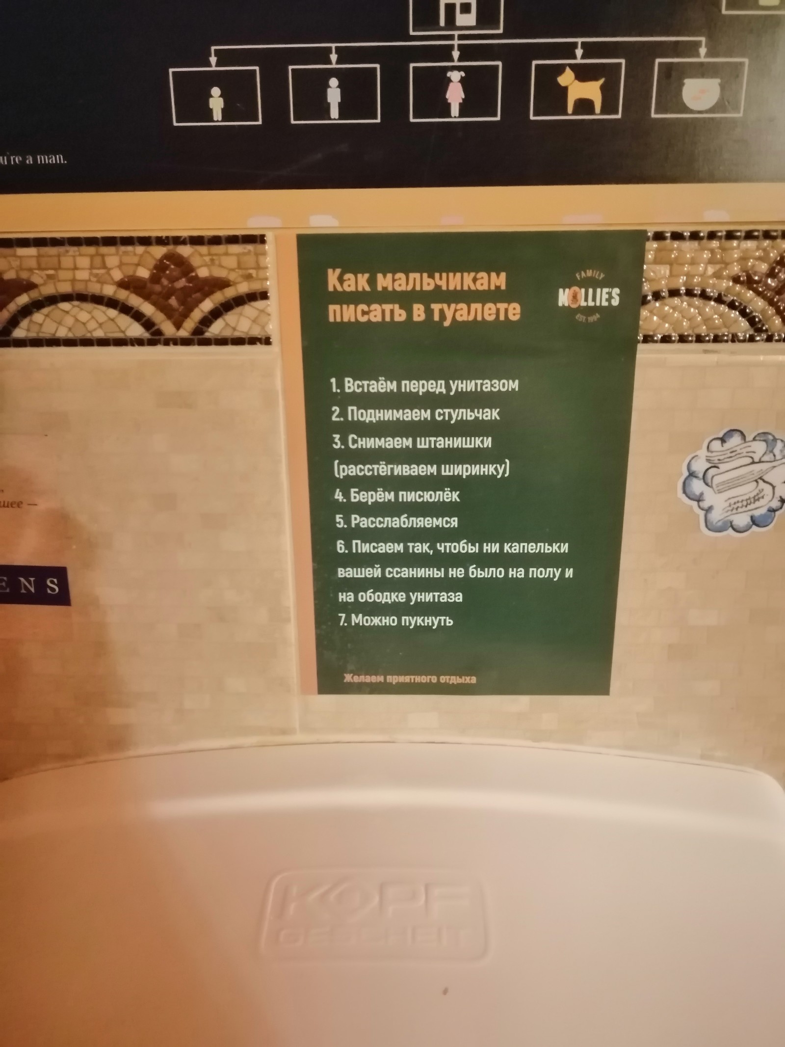 Instructions for a urinal in St. Petersburg - Toilet, Saint Petersburg, A pub, Instructions