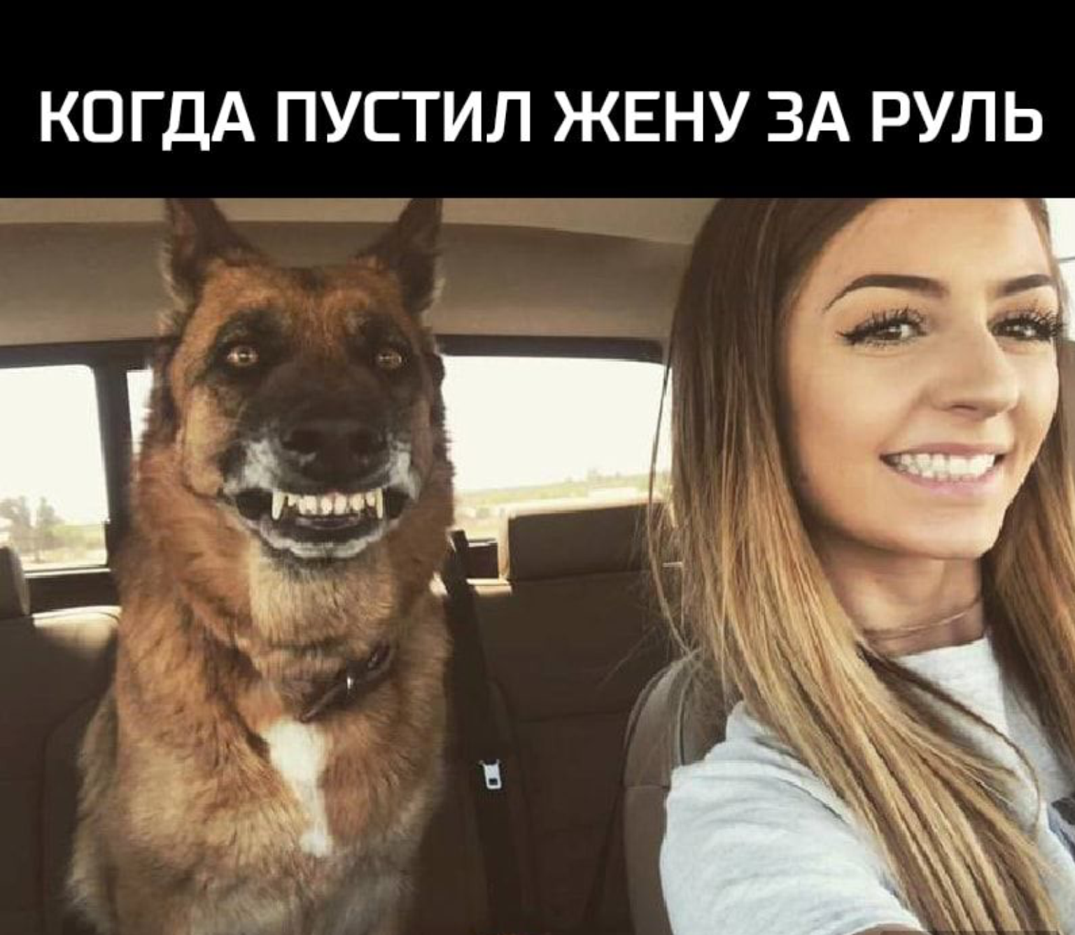 Приколы фото с надписями. Девушки и собаки прикольные. Фотографии с приколами и надписями. Приколы свежие с надписями. Приколы фото ржачные с надписями фото.