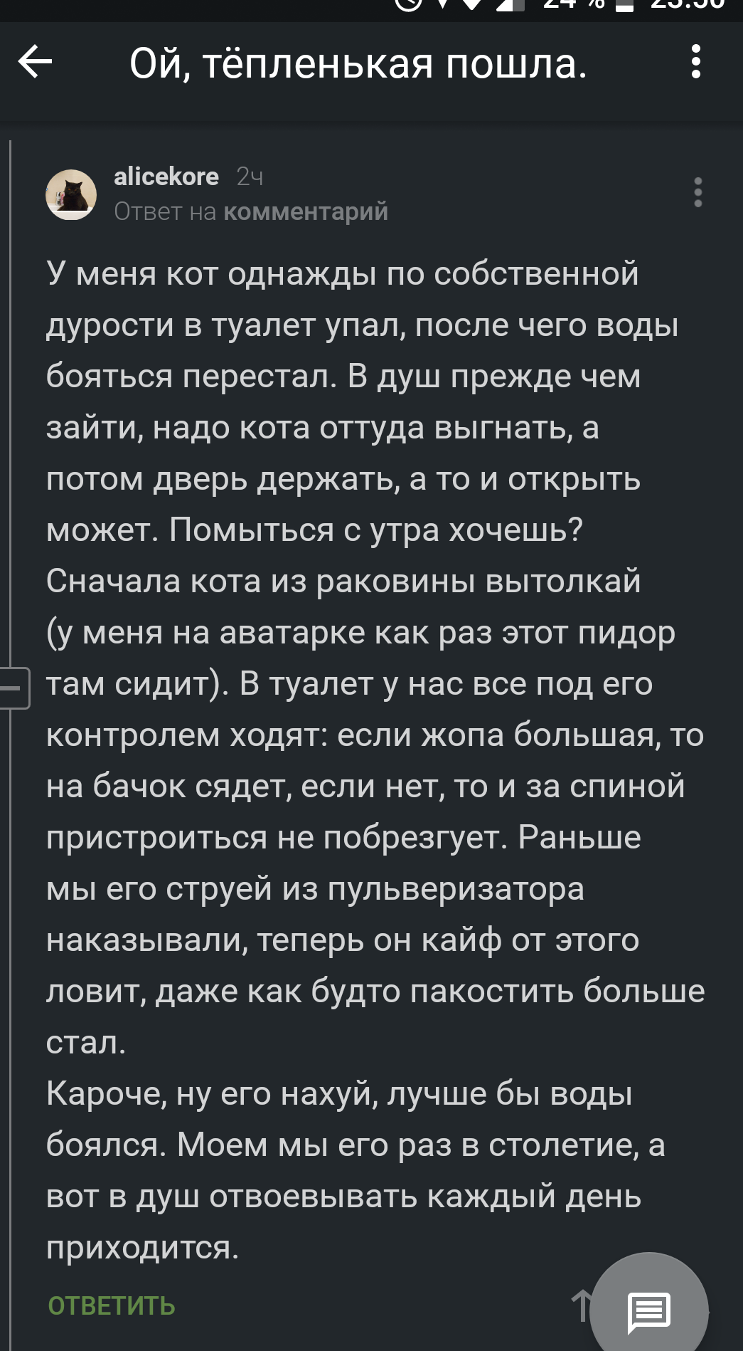 Когда киски любят воду | Пикабу