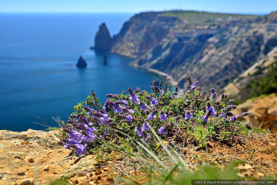 My favorite city!..Part 2 - Town, Hero City, Sevastopol, Chersonesos, Balaclava, beauty, Sea, Longpost