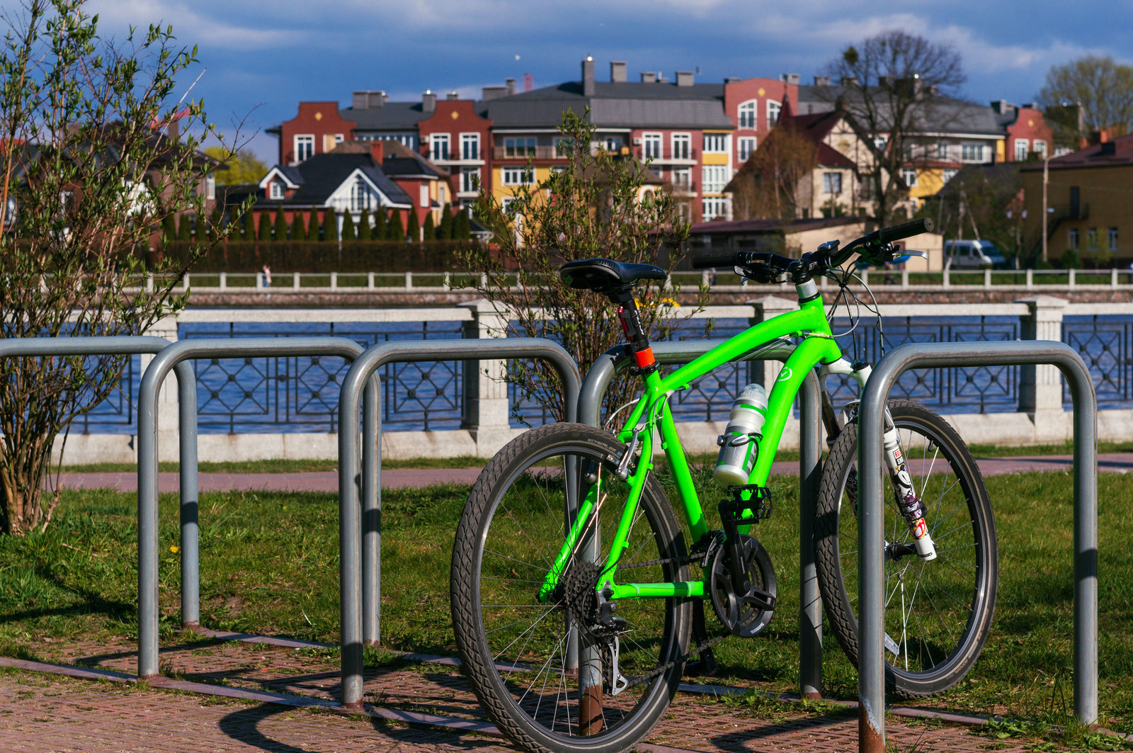 When the weather allows you to enjoy spring as much as possible - squeeze all the shots out of it! - My, Kaliningrad, The park, Nature, Bike ride, Nex5t, Helios 44m, Longpost, Helios 44m