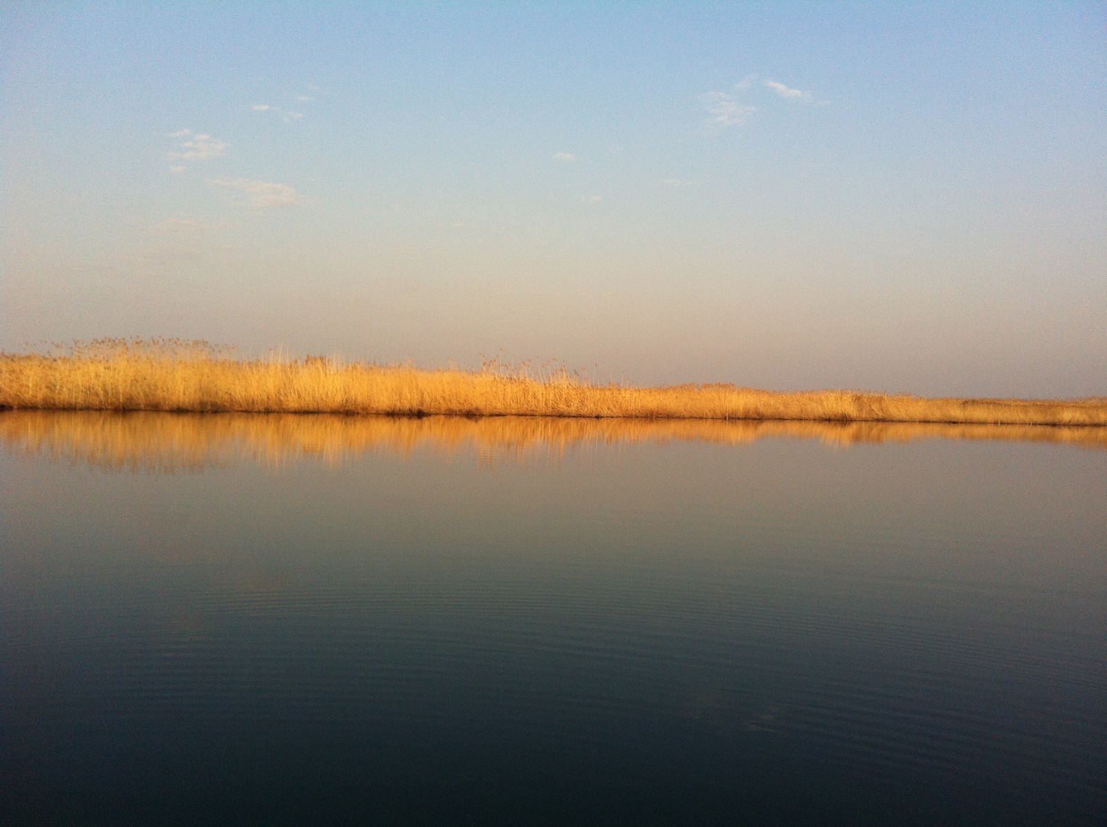 Opening of the water-motor-fishing season - My, community of anglers, Positive, Fishing, Longpost, Fishermen