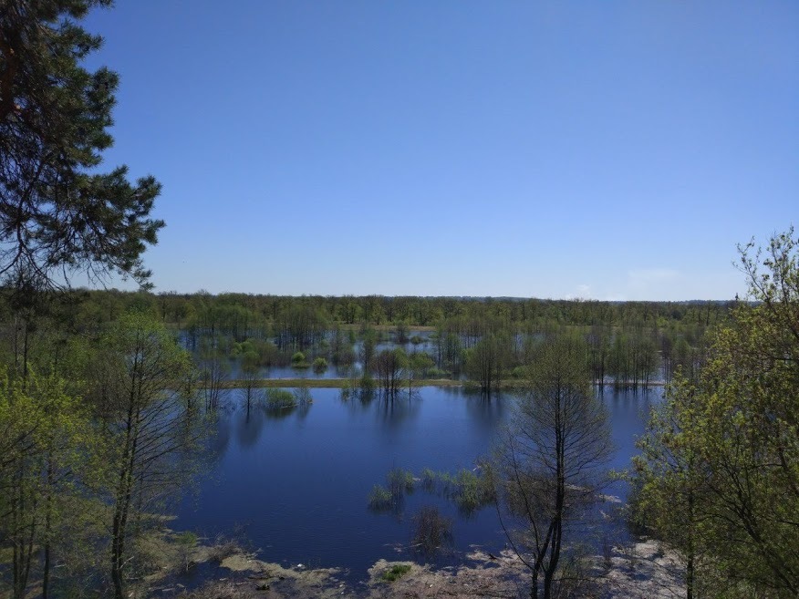 High water in the village - My, Xiaomi mi5, Reshetiha, Sovets, River