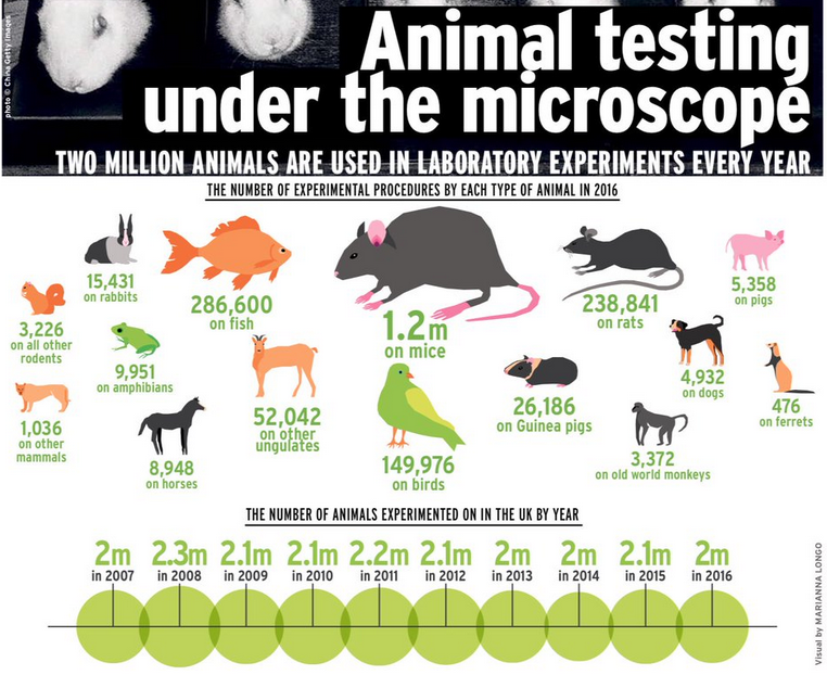 Animal lab. Инфографика животные. Инфографика защита животных. Сравнительная инфографика животные. Селекция коров инфографика.