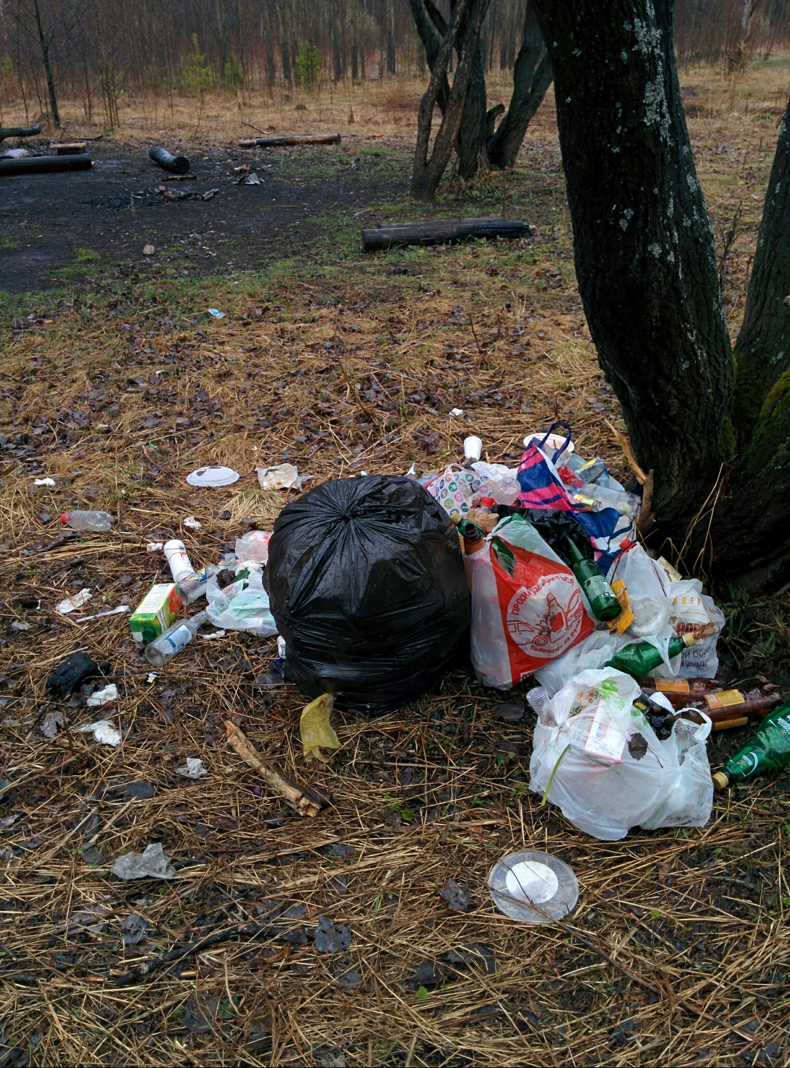 I clean up in Balatovsky park - My, Permian, , Garbage, Plastic bottles, Cleaning, Longpost