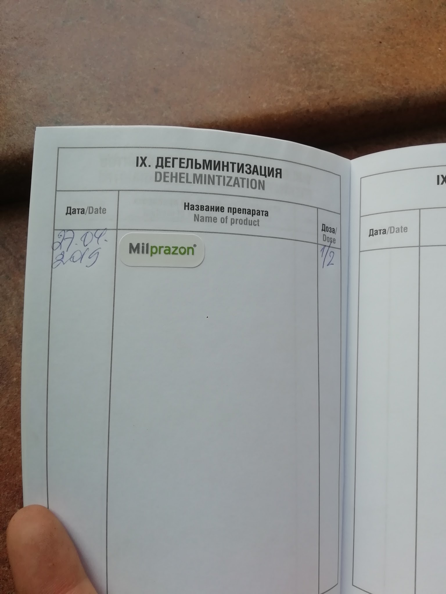 Котейка ищет дом - Кот, Потеряшка, Сергиев Посад, Домашние животные, В добрые руки, Длиннопост, Без рейтинга