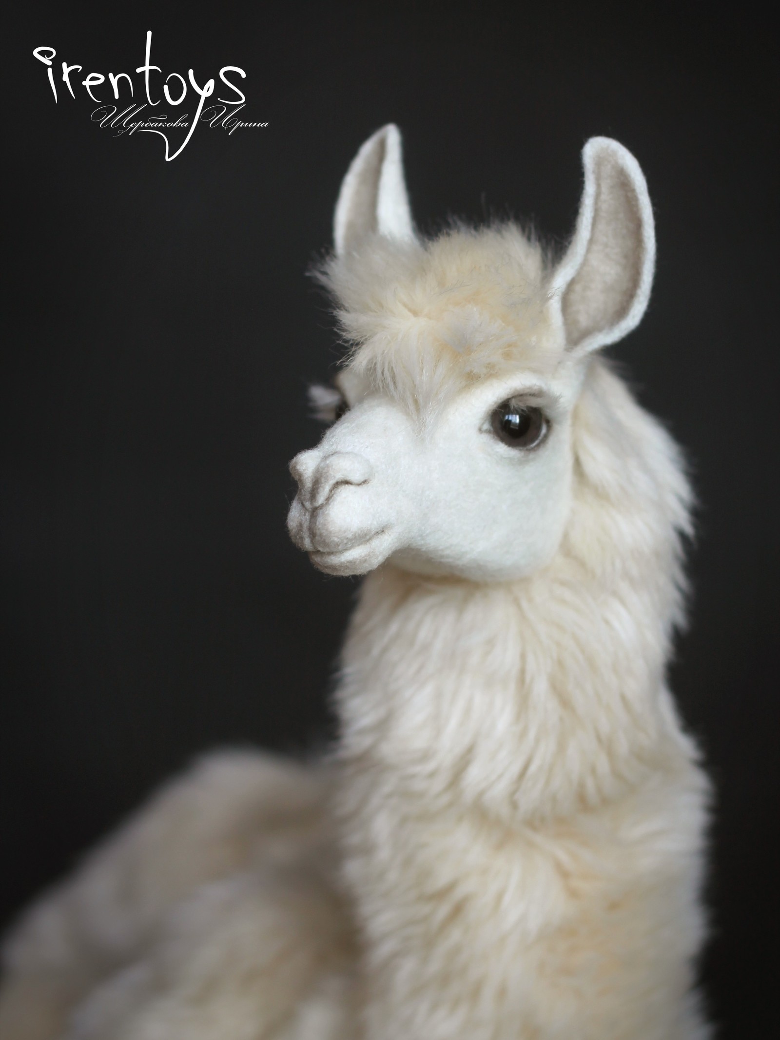 Lama [author's toy] - My, Needlework without process, Needlework, Llama, Handmade, Realism, , Longpost