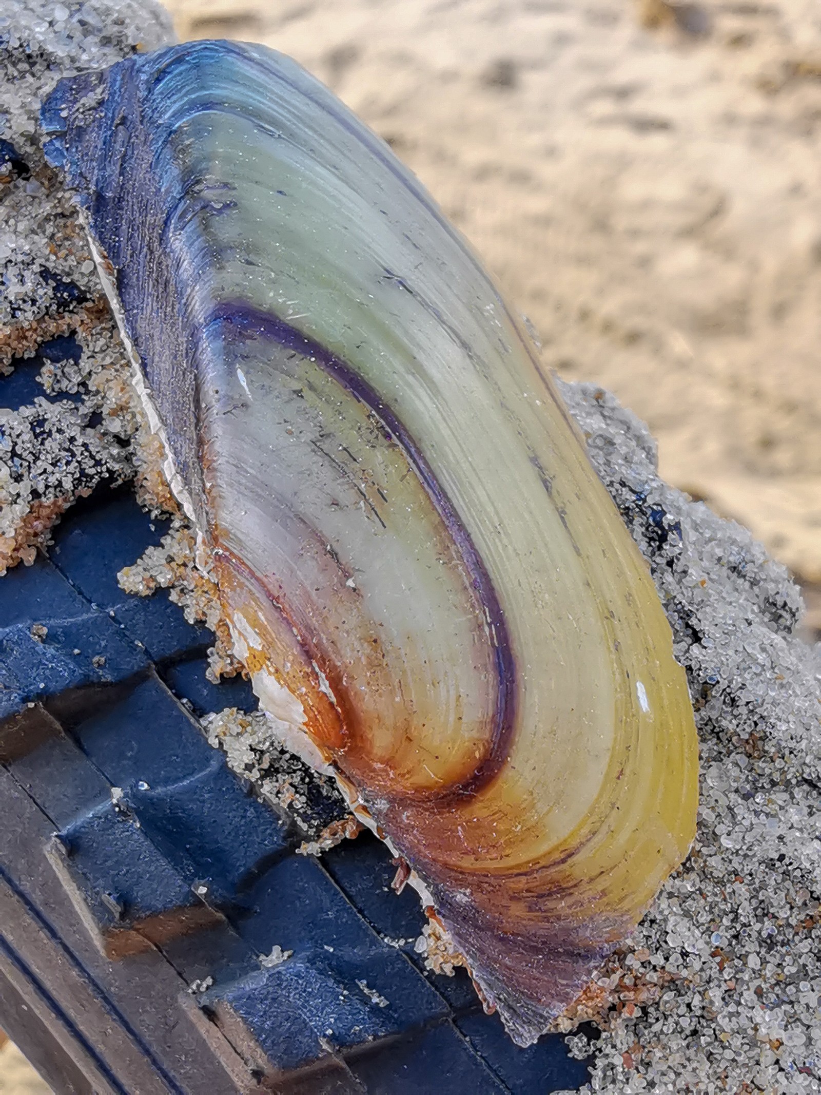 Beach - My, Mobile photography, Beach, A bike, Huawei mate 20, Sand, Video, Longpost