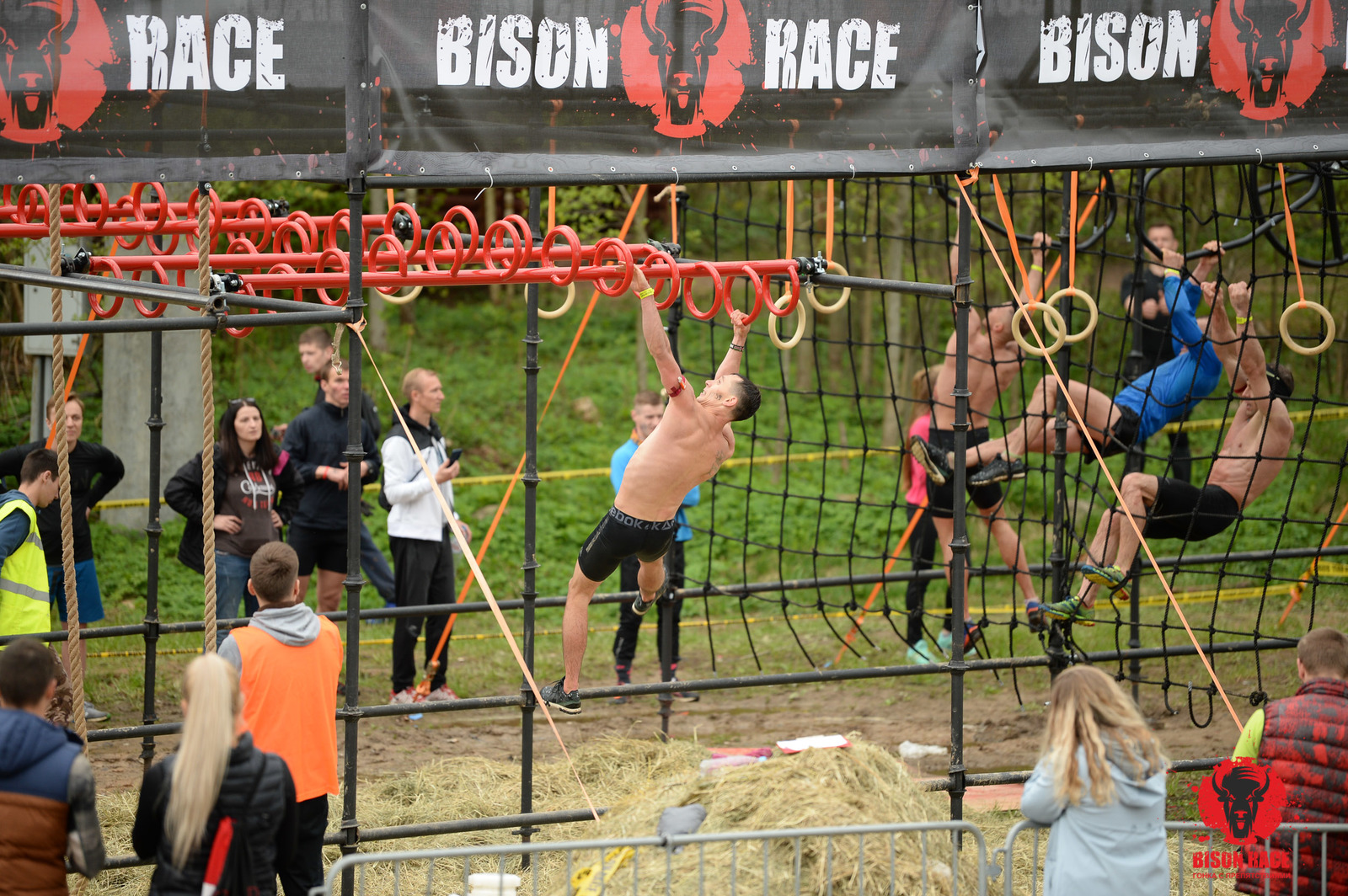 Personal motivation post .final - My, Bison Race, Run, Ocr, Longpost