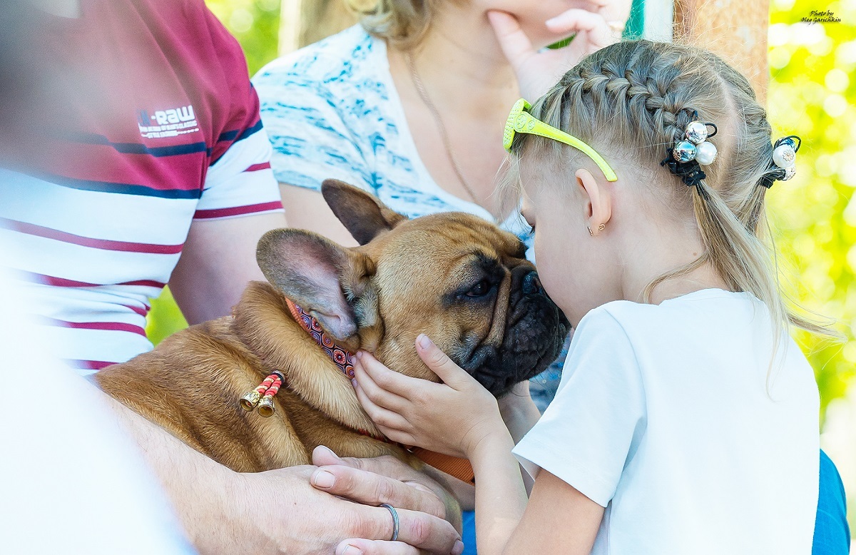 Another series of reportage pictures from dog shows that took place in the South of Russia in 2018, pleasant viewing))) - My, Dog, Dogs and people, Dog show, Dog days, Dog lovers, Animalistics, Longpost