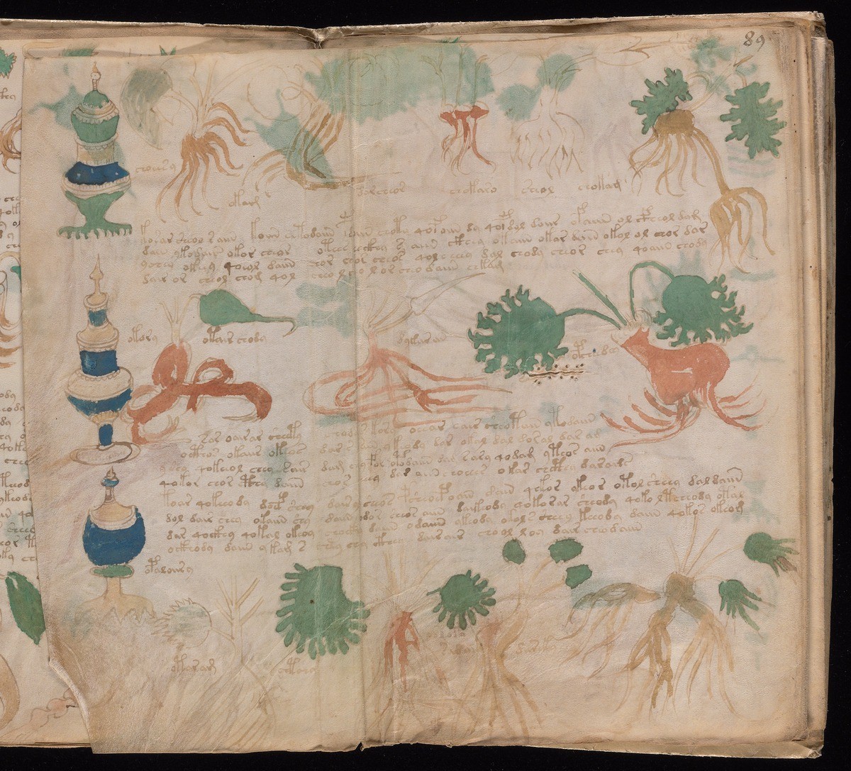 British scientists announced the decoding of the Voynich manuscript - Тайны, Story, Voynich manuscript, Voynich Manuscript, Longpost