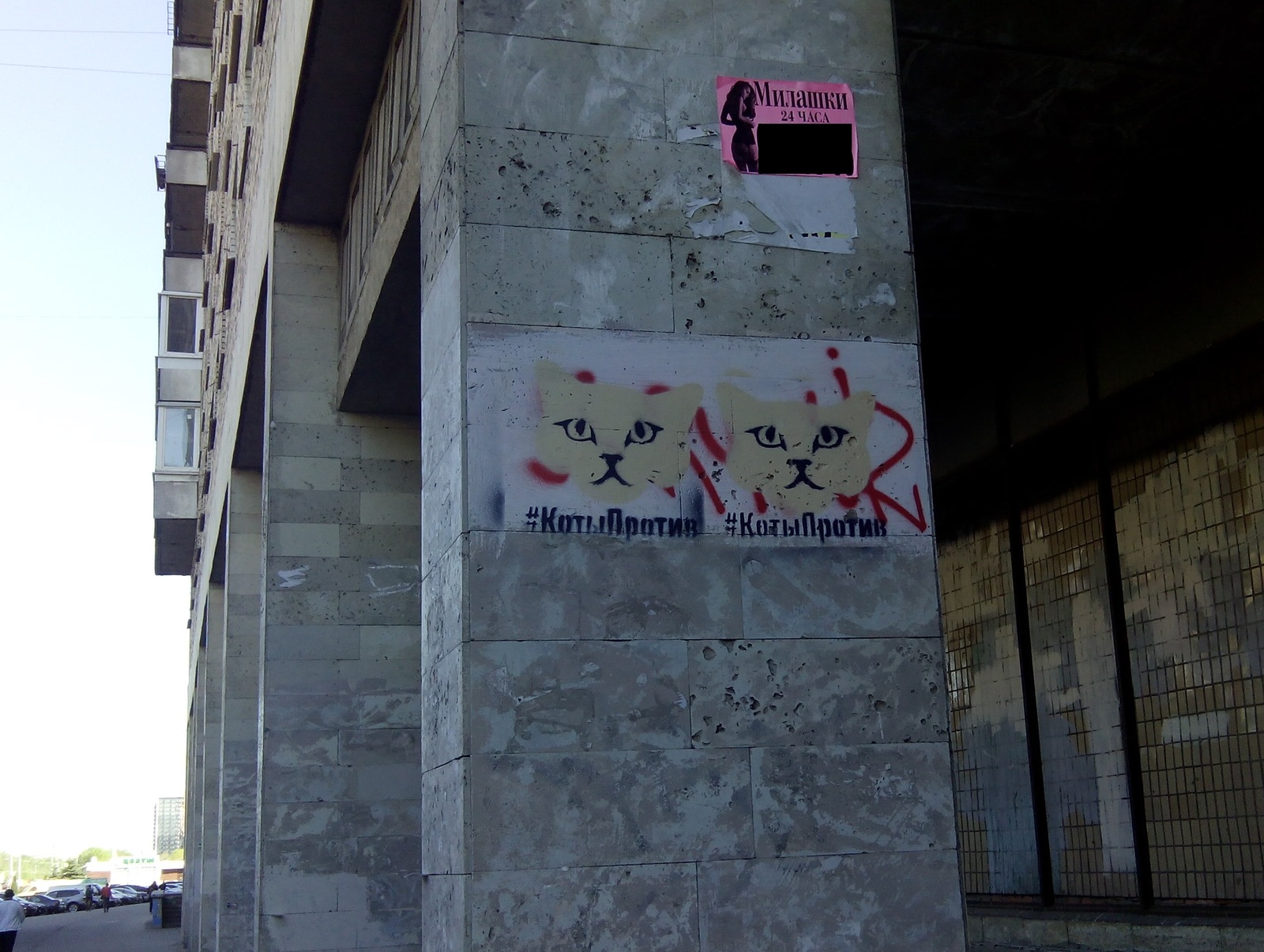 Cats vs. - My, Graffiti, Saint Petersburg, Street art, cat