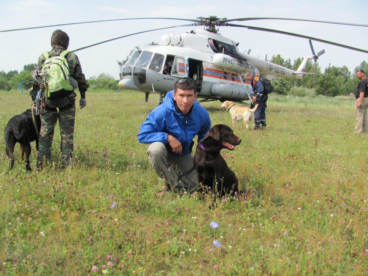 In Chelyabinsk, they found a Labrador of the Ministry of Emergency Situations, who disappeared three years ago - Animals, Dog, Lost, Longpost