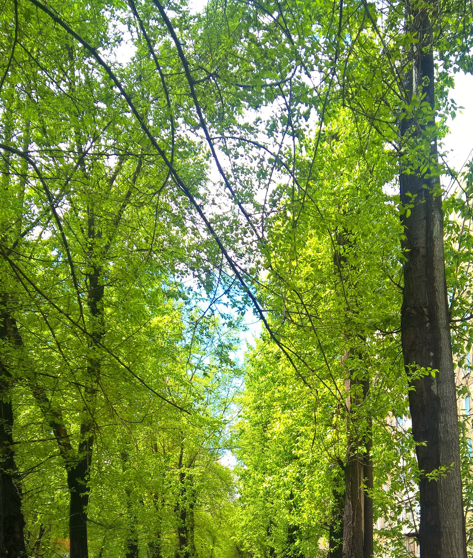 Май | Пикабу