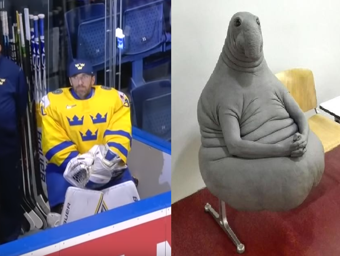 Russia - Sweden 7-4 - My, , Russia, Sweden, Goalkeeper, Hockey World Cup 2019