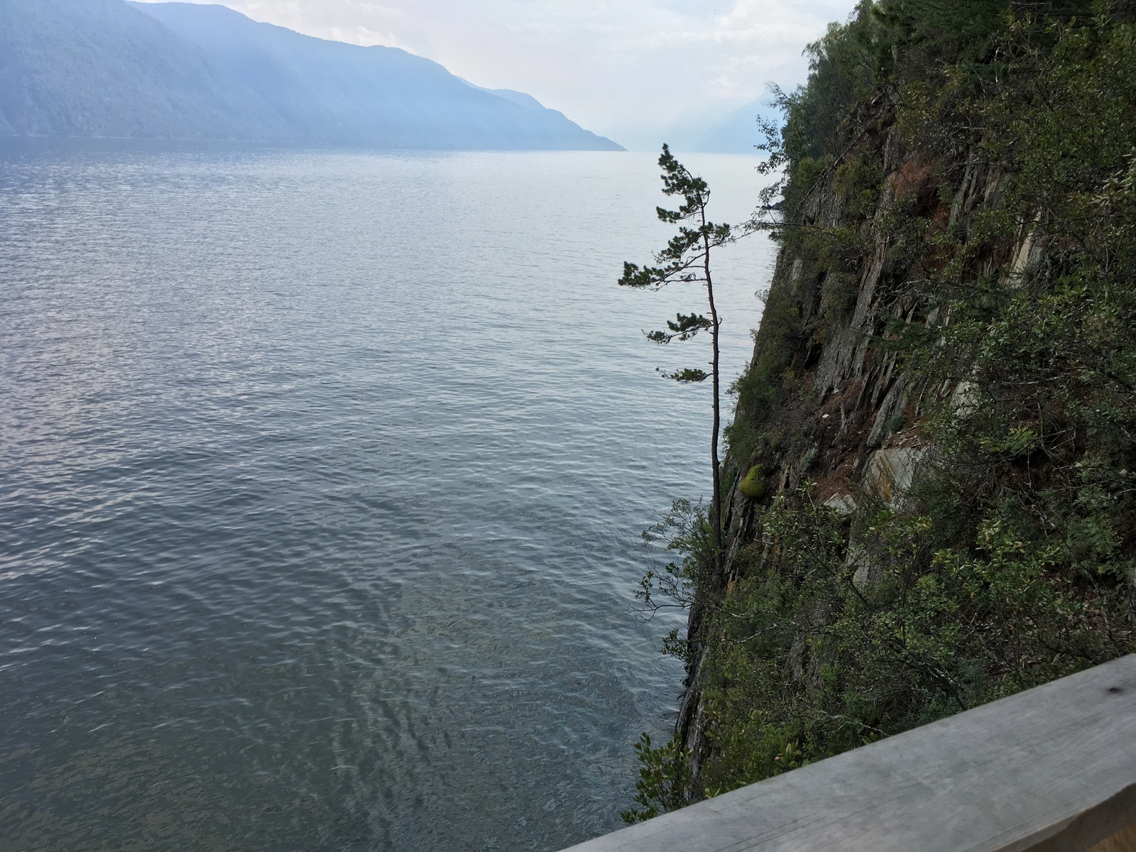 Mysterious Teletskoye - My, Teletskoe lake, Altai, Longpost, Altai Republic