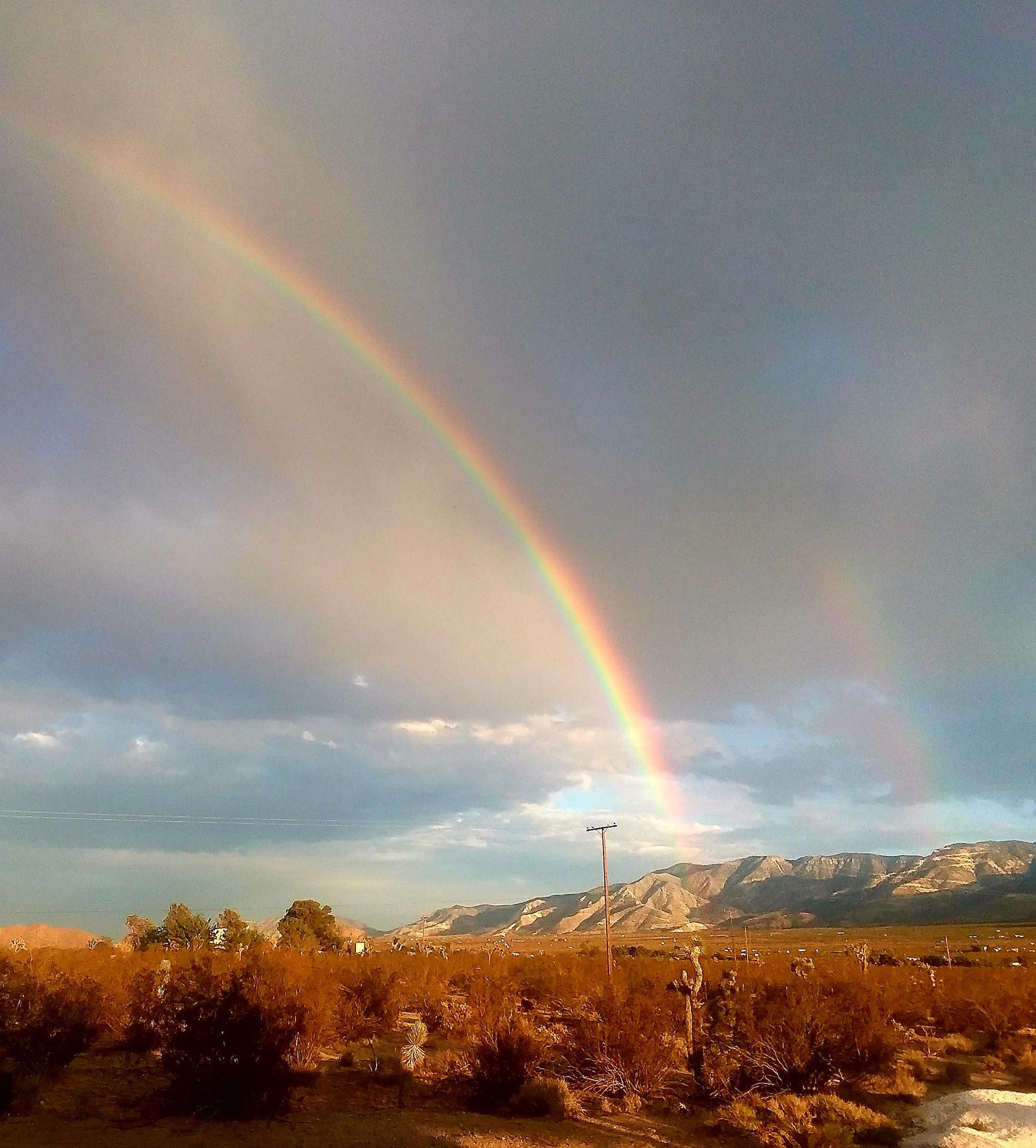 Rainbow | Пикабу
