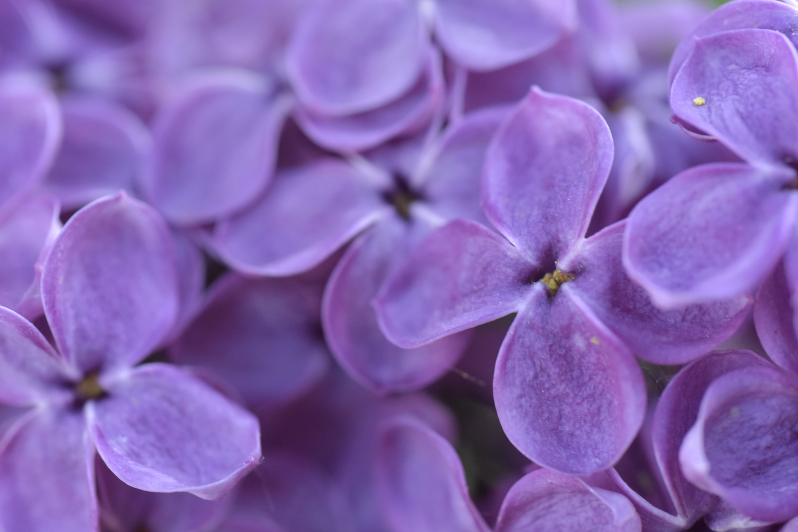 UNS #1 | Пикабу