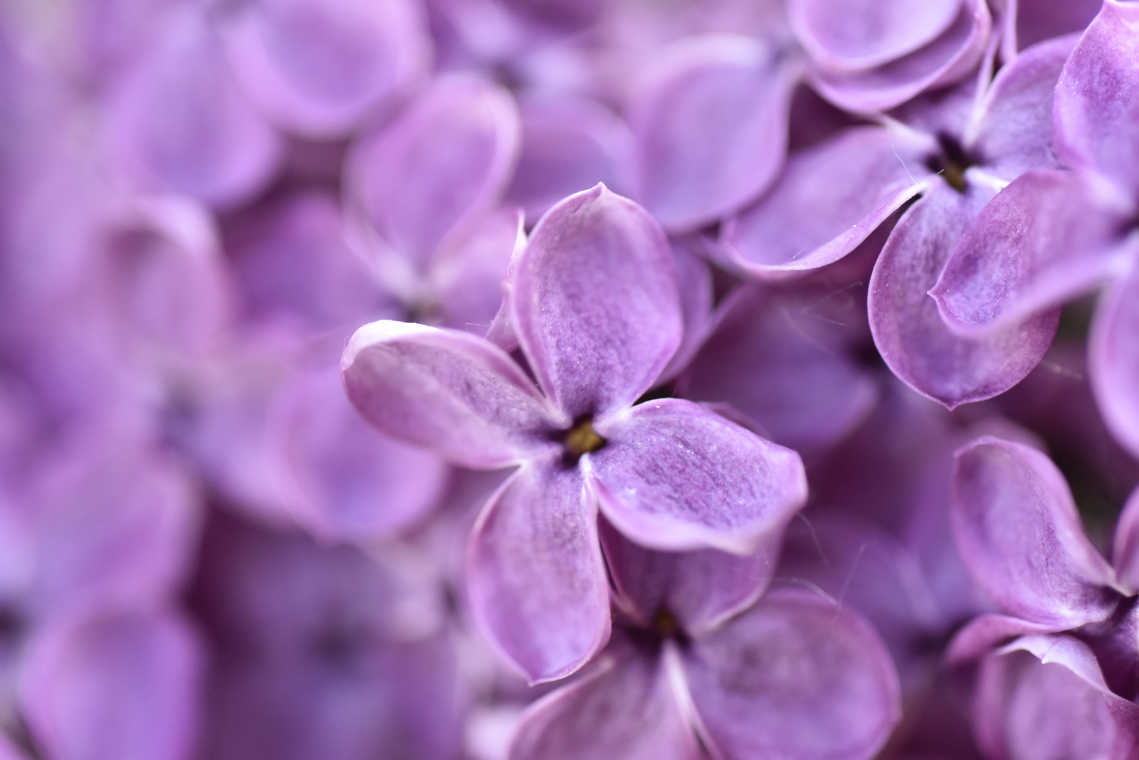 UNS #1 | Пикабу