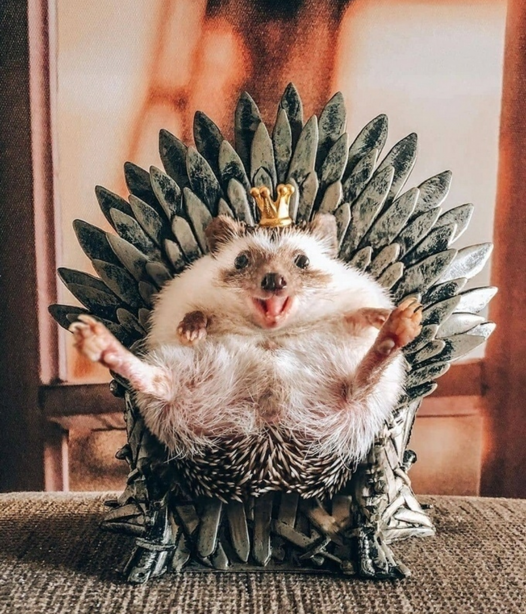 Yozhgarien the invincible - Game of Thrones, Iron throne, Hedgehog, Daenerys Targaryen, Serials, Humor