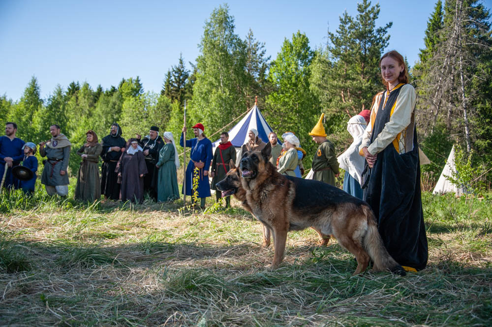 Maypole Festival 2019 - My, 13th century, The festival, Middle Ages, Knight, Field hockey, Longpost