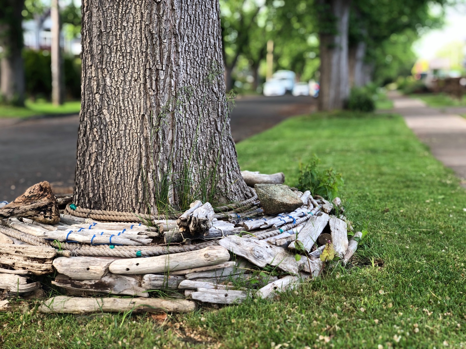 Canada - My, Canada, The street, House, Tree, Decoration, Miniature, beauty, Longpost