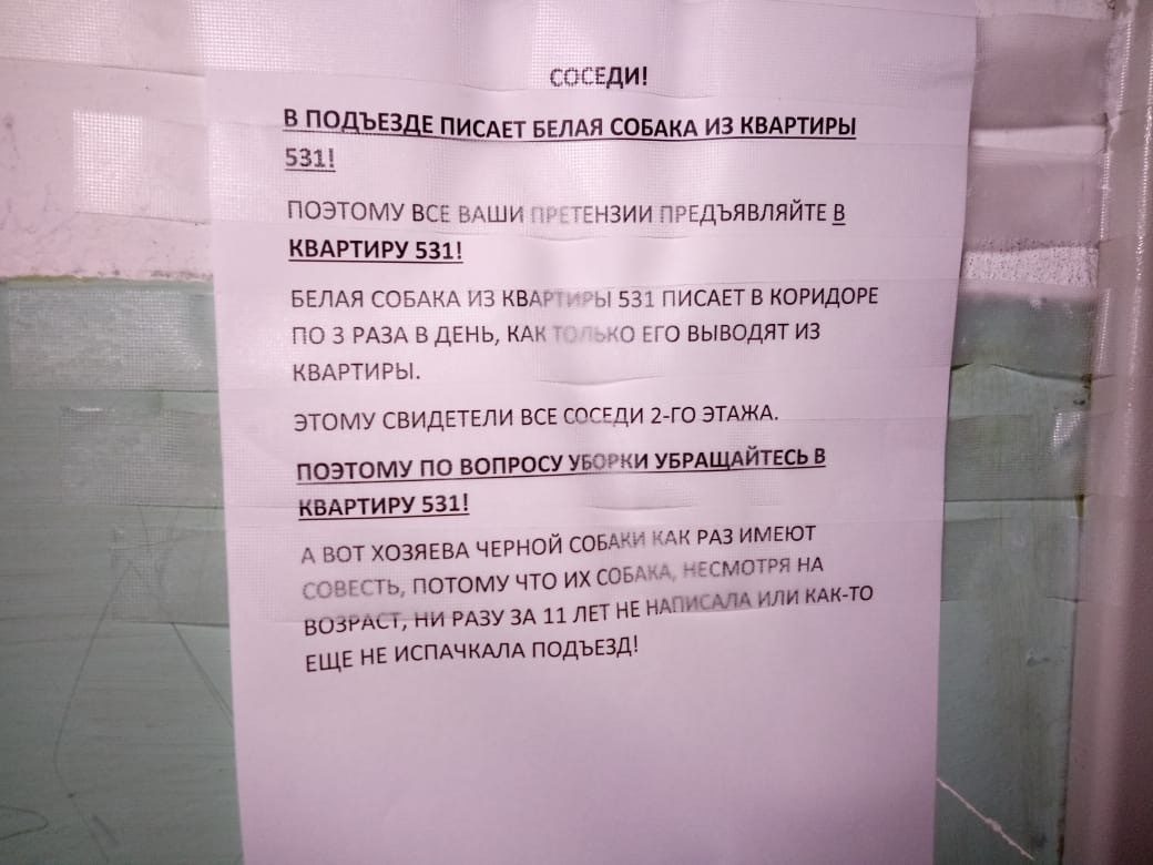 Written battles of one entrance near Moscow - Announcement, Dog, Neighbours