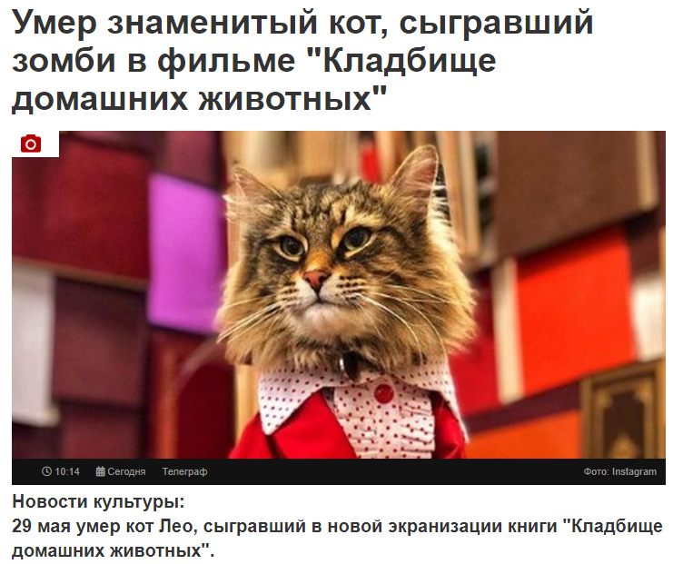 Не на долго... - Сперто, Кот