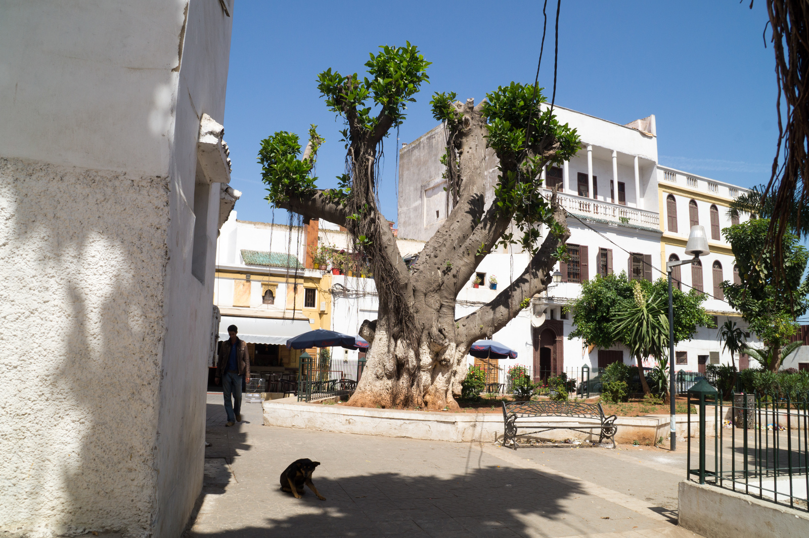 Travel in Morocco. - My, Morocco, The photo, Travels, Longpost