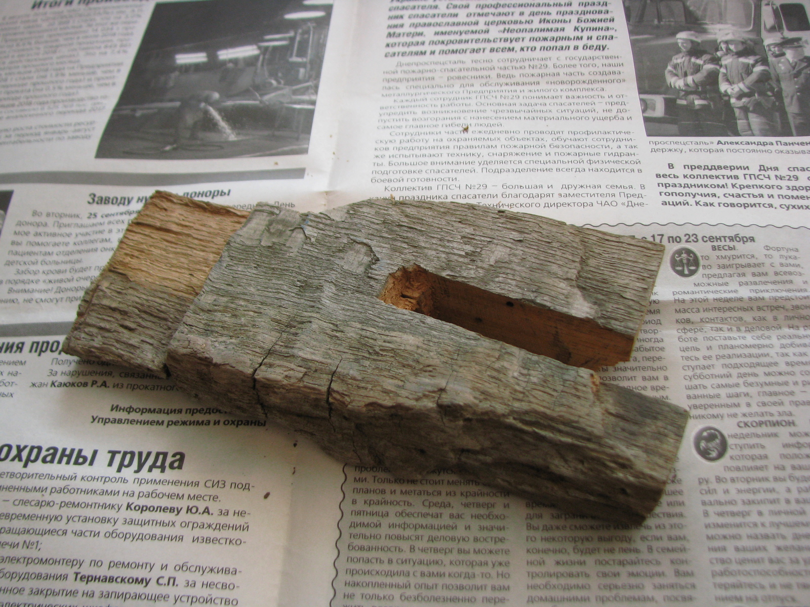 Flash drive from Zaporozhye Oak - My, Longpost, Oak, Tree, Woodworking, Flash drives, With your own hands, Souvenirs