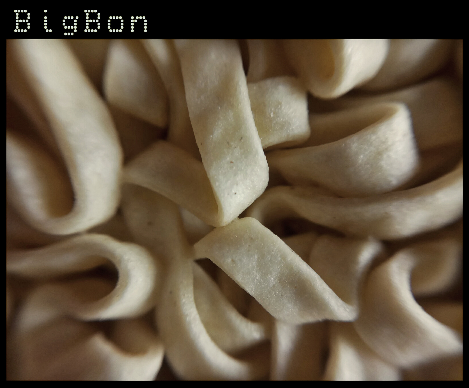 Noodle structure - My, Rollton, Doshirak, Bigbon, Mivina, Noodles, Beachpacket, Longpost