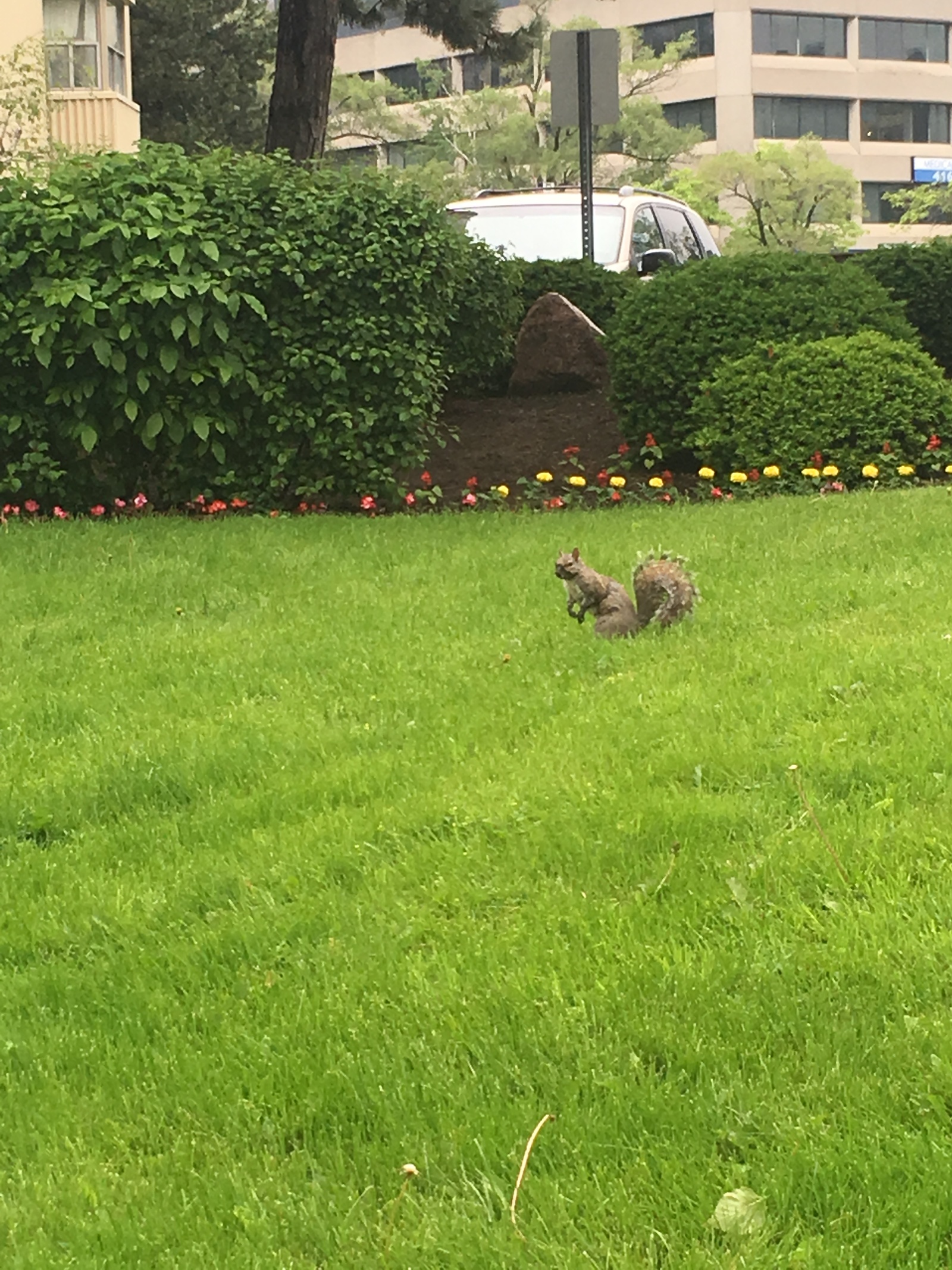 Various living things. - My, Animals, Canada, wildlife, Longpost