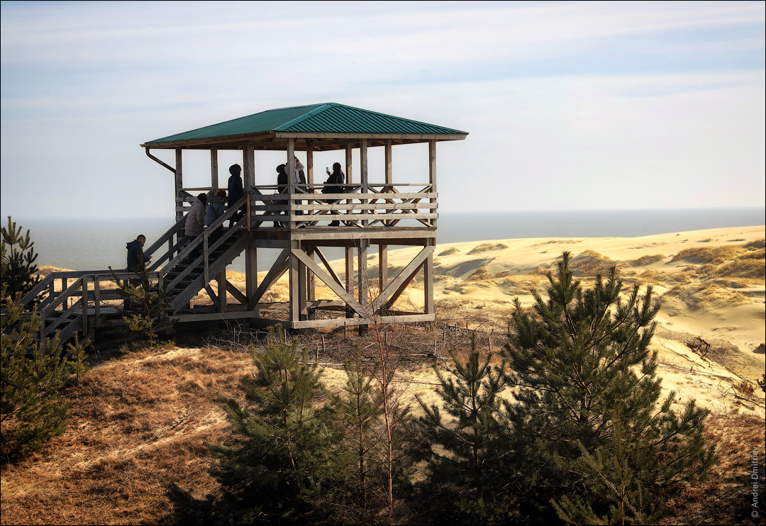 Photo walk: Curonian Spit, Russia - My, Photobritish, Travels, Russia, Curonian Spit, The photo, Desert, Longpost