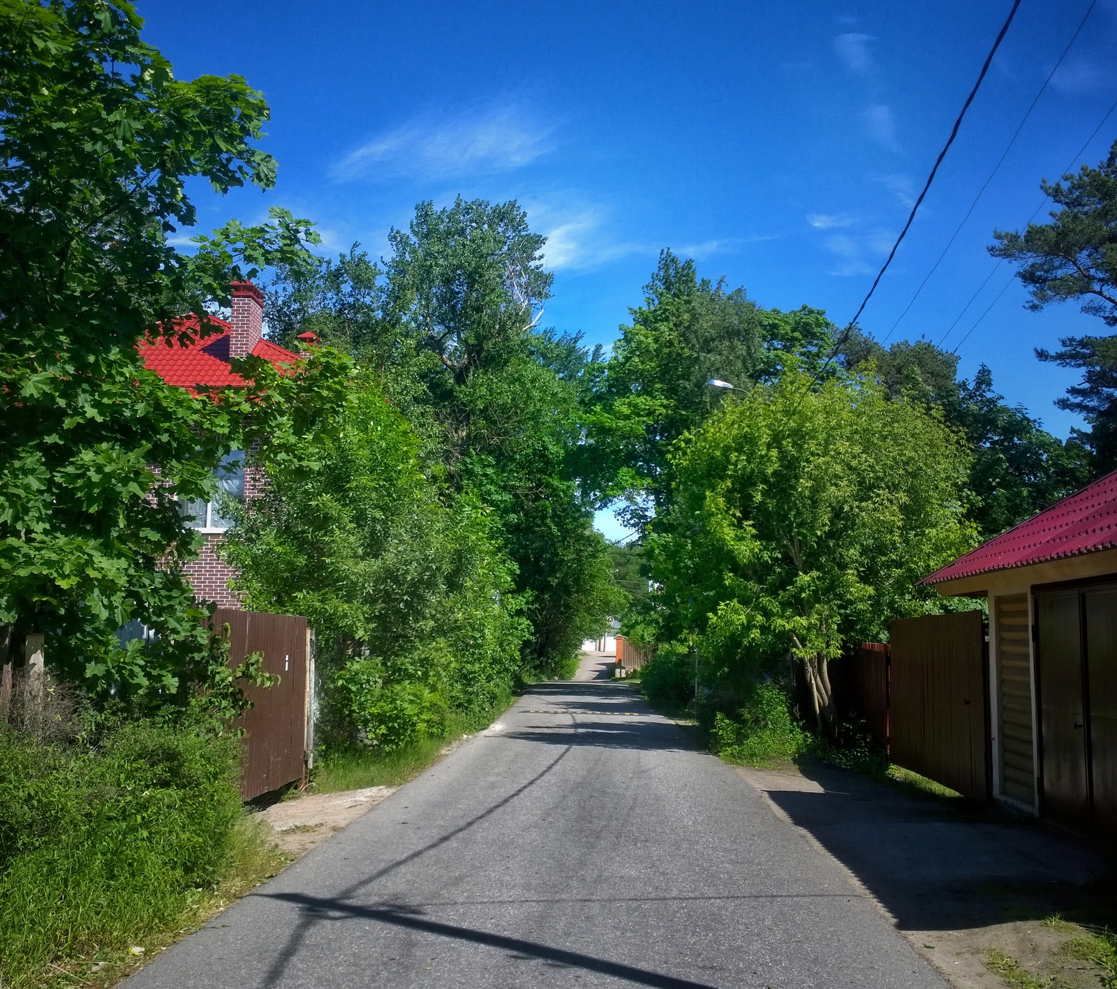 Neighborhood. - My, Walk, Surroundings, Kurortny district, The photo, Summer, Longpost