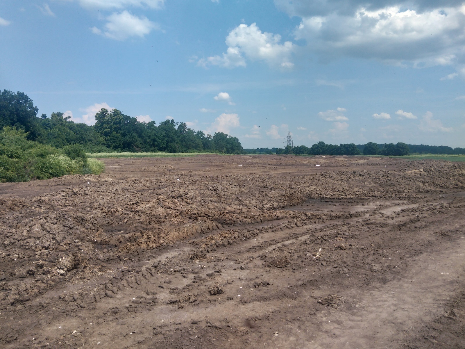 How the Lipetsk poultry farm destroys nature - My, Lipetsk, , Poultry farm, The nature of Russia, Video, Longpost, Village, Poultry farm