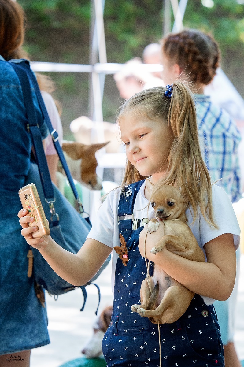 I continue to publish reportage pictures from dog shows that took place in the South of Russia in 2018, pleasant viewing))) - My, Dog, Dogs and people, Dog show, Dog days, Dog lovers, Animalistics, Longpost