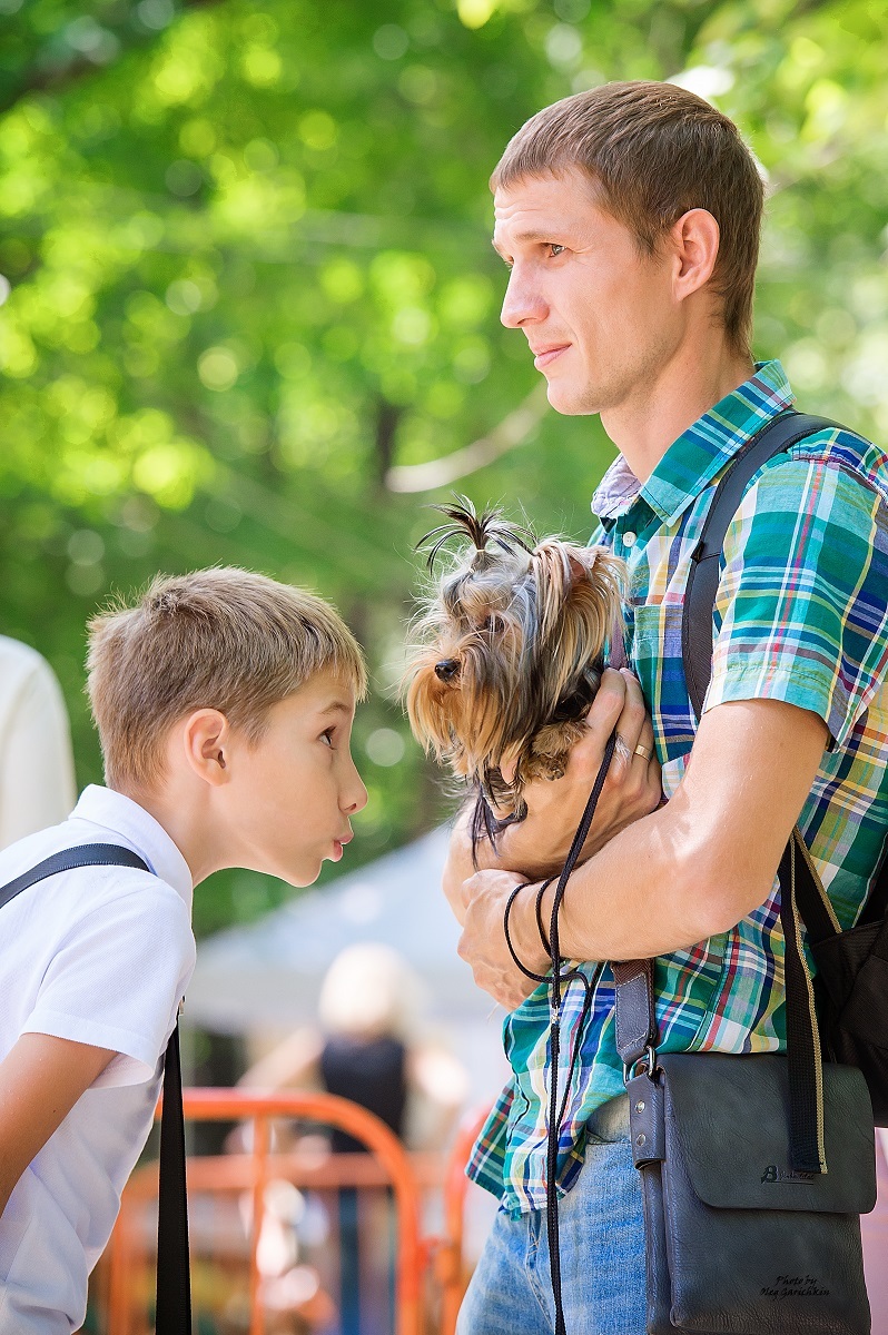 I continue to publish reportage pictures from dog shows that took place in the South of Russia in 2018, pleasant viewing))) - My, Dog, Dogs and people, Dog show, Dog days, Dog lovers, Animalistics, Longpost