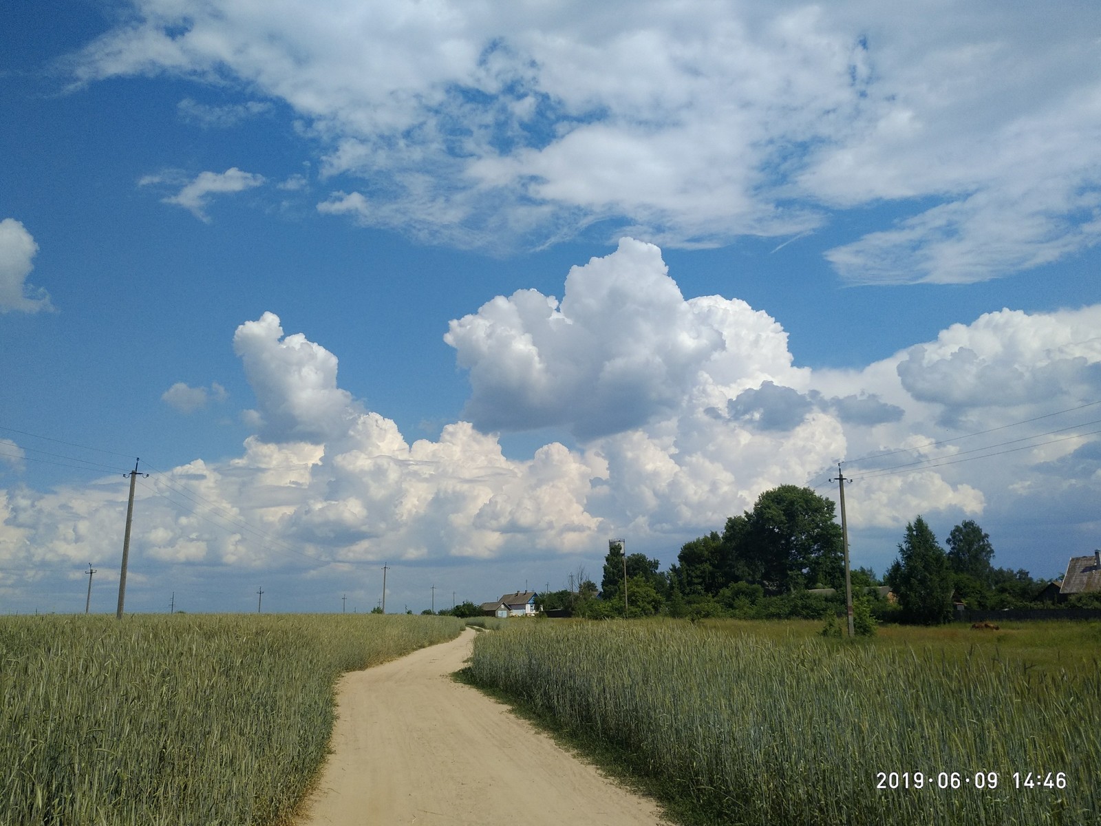 And again field Belarus) - My, Polyushko field, Nature, Village, Longpost