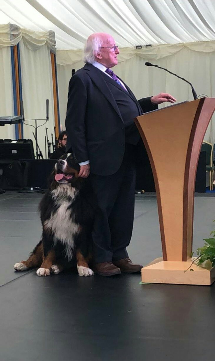 Irish President Michael Higgins with his faithful friend - The president, Ireland, Dog, Milota, Animals, Pets, The photo, Michael Higgins