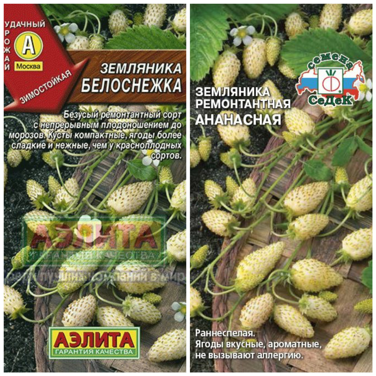 Fantasies of agricultural firms. - White strawberries, Agrofirma, Seeds, Longpost