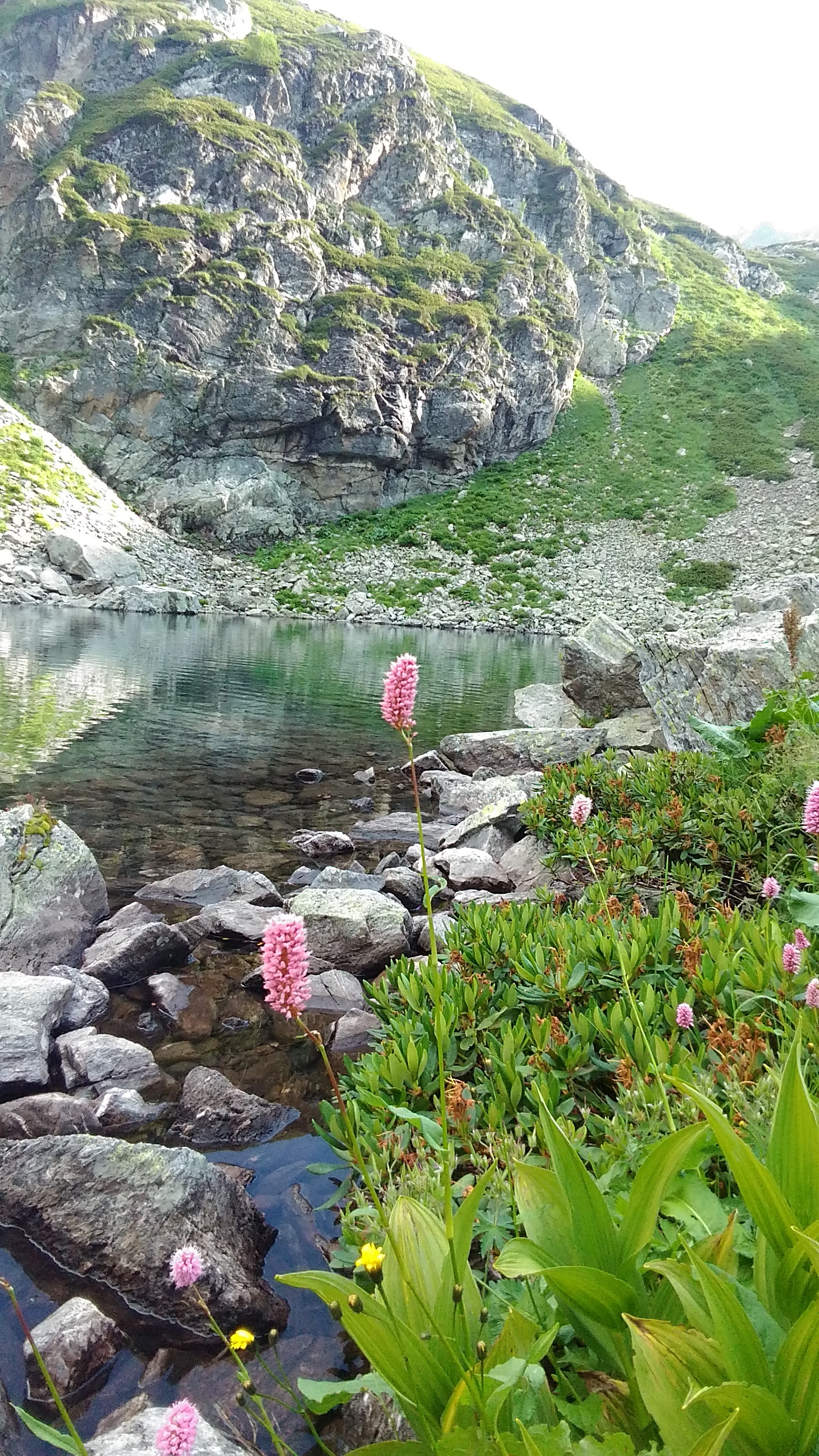 Arkhyz, photo from the campaign. - My, Arkhyz, The photo, The mountains, Nature, Longpost