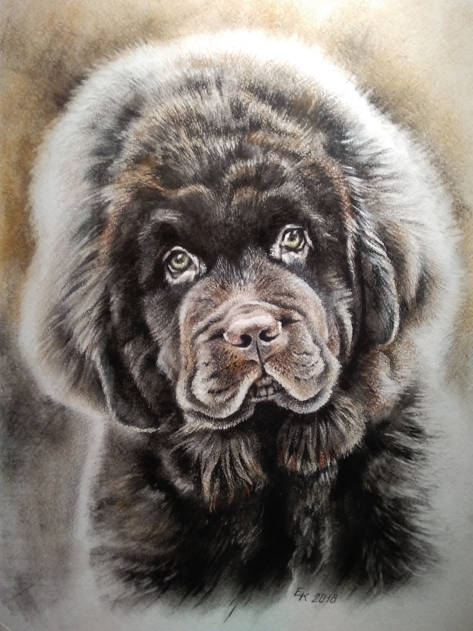 From the archive. The portraits are made with colored pencils and pastels. - My, Portrait, Drawing, Dog, Pet, Colour pencils, animal portraits, Longpost, Pets