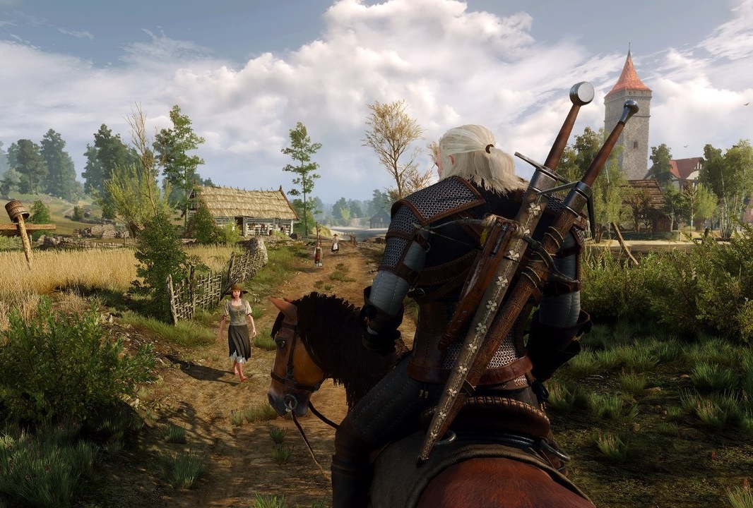 Witcher or police officer simulator - My, The Witcher 3: Wild Hunt, Andrzej Sapkowski, Games, Another look