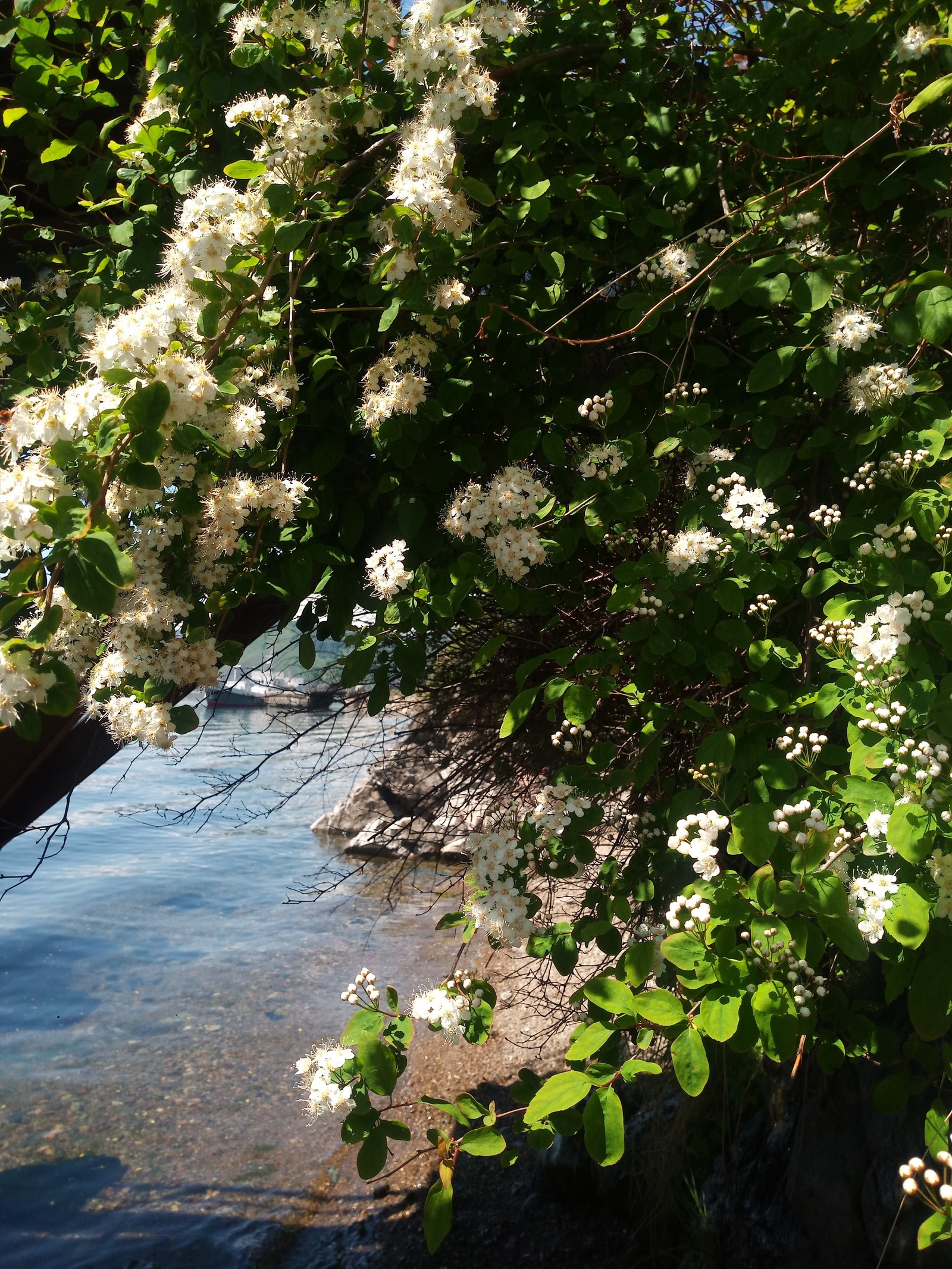 Baikal... - My, Summer, Longpost, The photo, Good mood, Baikal