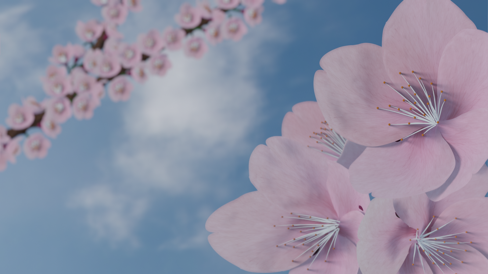 Sakura in Blender - My, 3D, Blender, Cgimedia, Sakura, Cherry, Video