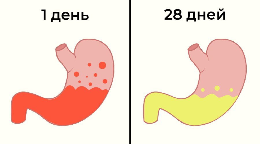 5+ изменений в организме, если отказаться от алкоголя хотя бы на месяц - Алкоголь, ЗОЖ, Алкоголизм, Длиннопост