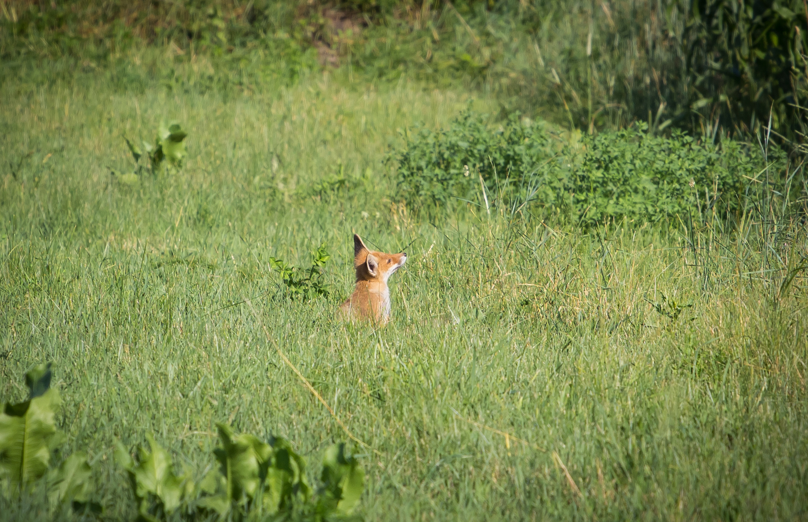О детках... | Пикабу