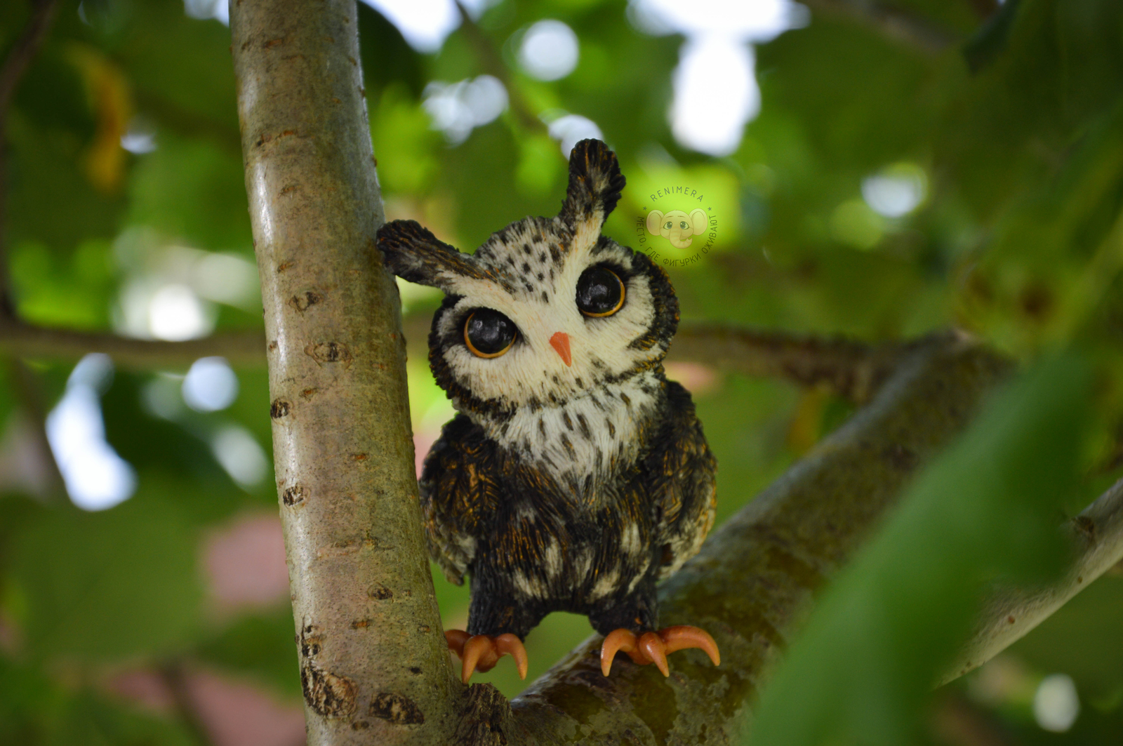 Figurine Owl made of polymer clay - My, Owl, Polymer clay, Handmade, Figurine, Needlework without process, Birds, Longpost, Figurines