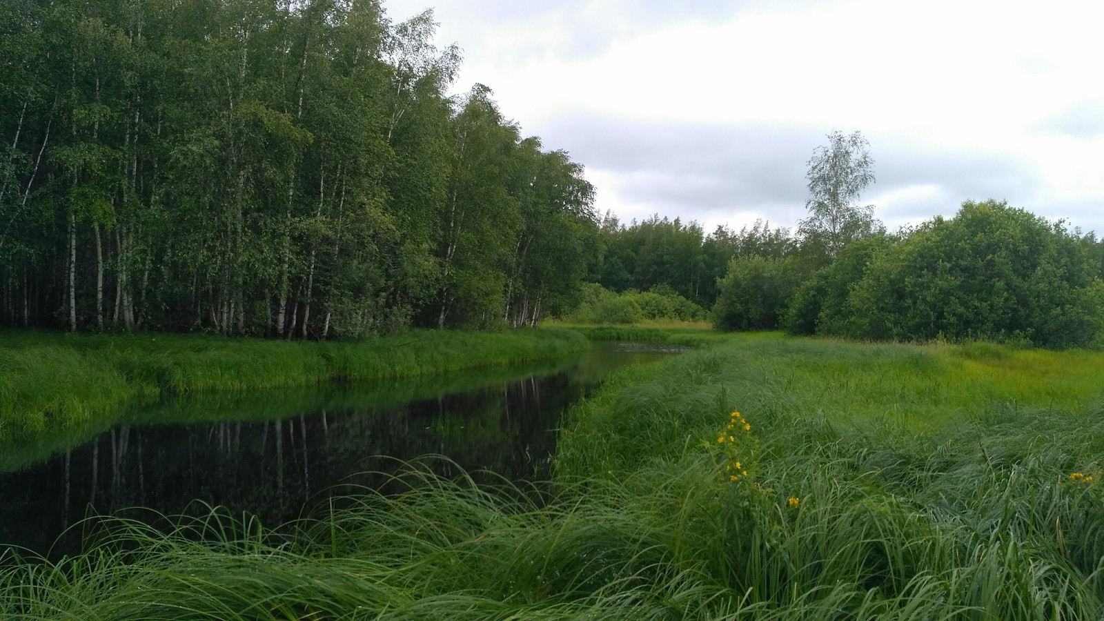 Weekends are not always needed for relaxation. - My, Walk in the woods, Weekend, Pieces of wood from Sasha, Longpost