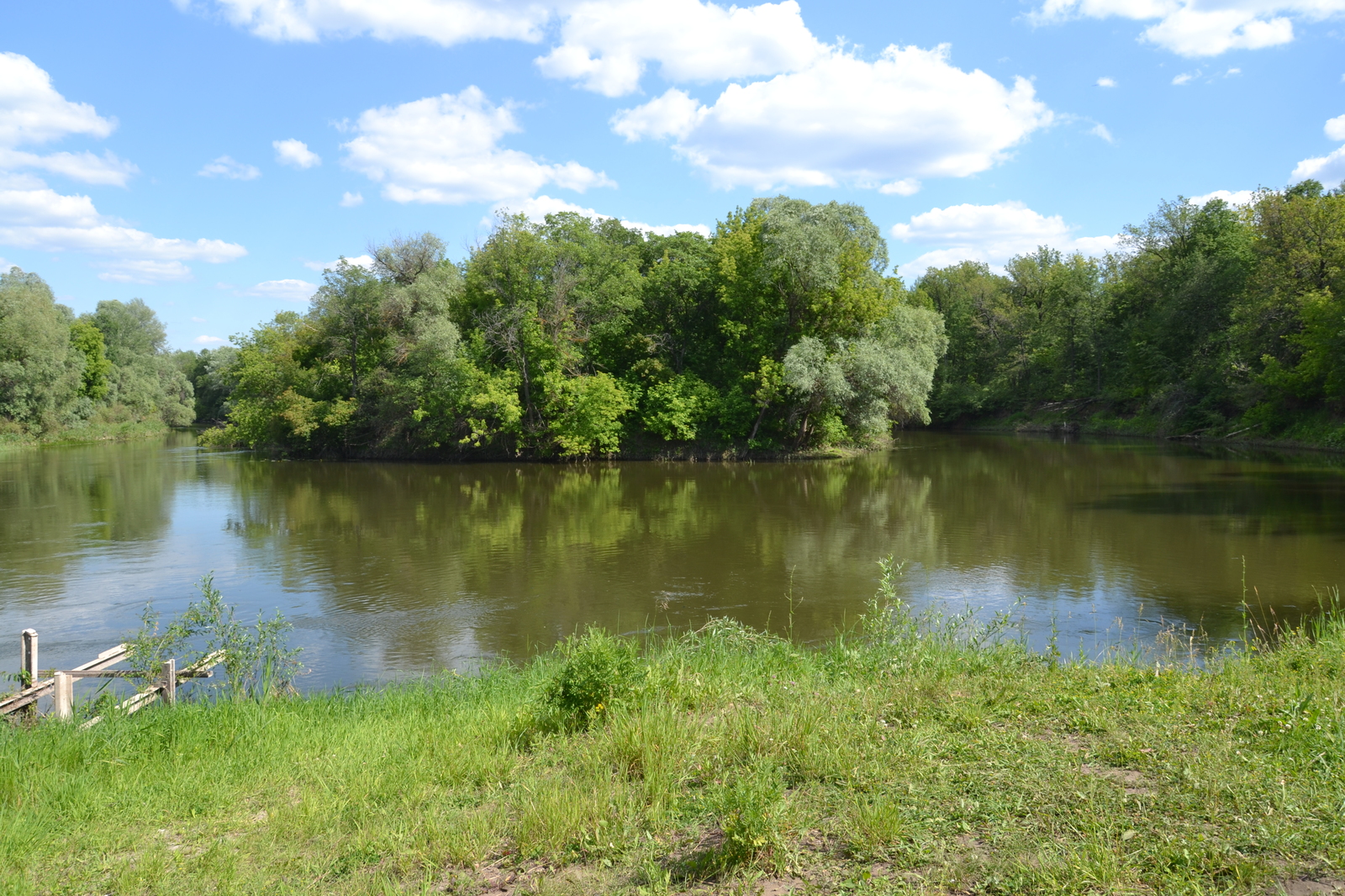 Rafting on the river Sok (Samara region) - My, Alloy, Family, Samara Region, Nature, Longpost, Tourism, Water tourism